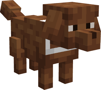 Cachorro Café