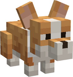 Cachorro Pão de Mel