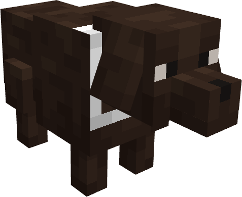 Cachorro Tropeço