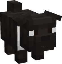 Cachorro Suspiro