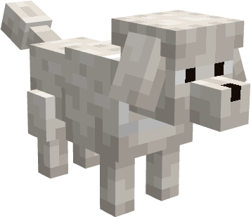 Cachorro Madameama