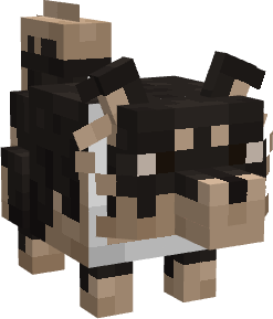 Cachorro Tiquinho