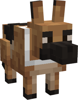 Cachorro Caramelo
