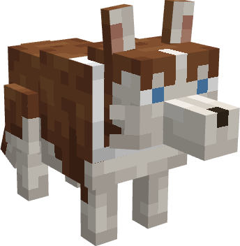 Cachorro Sonso