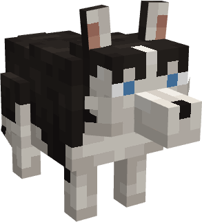 Cachorro Xispa