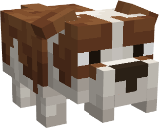 Cachorro Pitoco