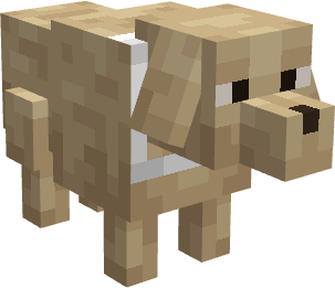 Cachorro Talarico