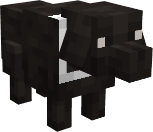 Cachorro Breu